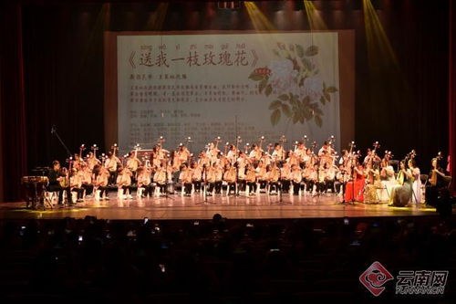 「彩云花韻」首屆琵琶文化藝術周圓滿落幕 弦音繞梁，經典永續